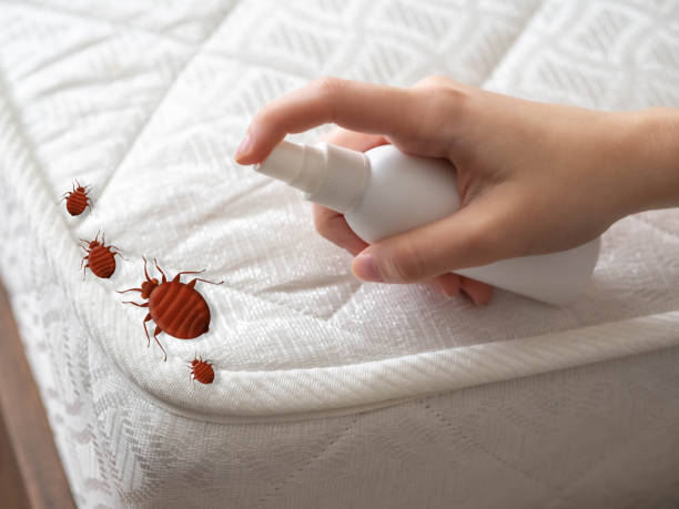 Emergency Pest Control Services in Amelia, OH